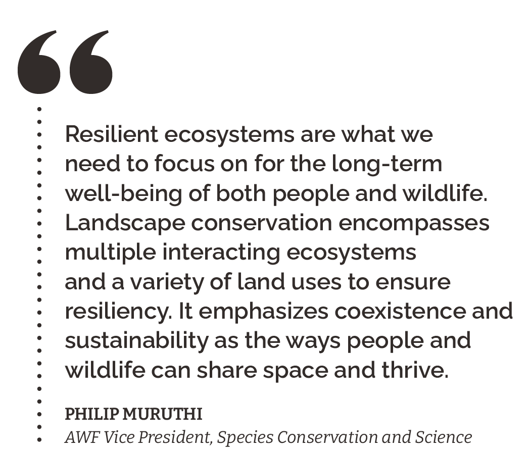 [QUOTE] Resilient ecosystems are what we need to focus on for the long-term well-being of both people and wildlife. Landscape conservation encompasses multiple interacting ecosystems and a variety of land uses to ensure resiliency. It emphasizes coexistence and sustainability as the ways people and wildlife can share space and thrive. Philip Muruthi AWF Vice President, Species Conservation and Science