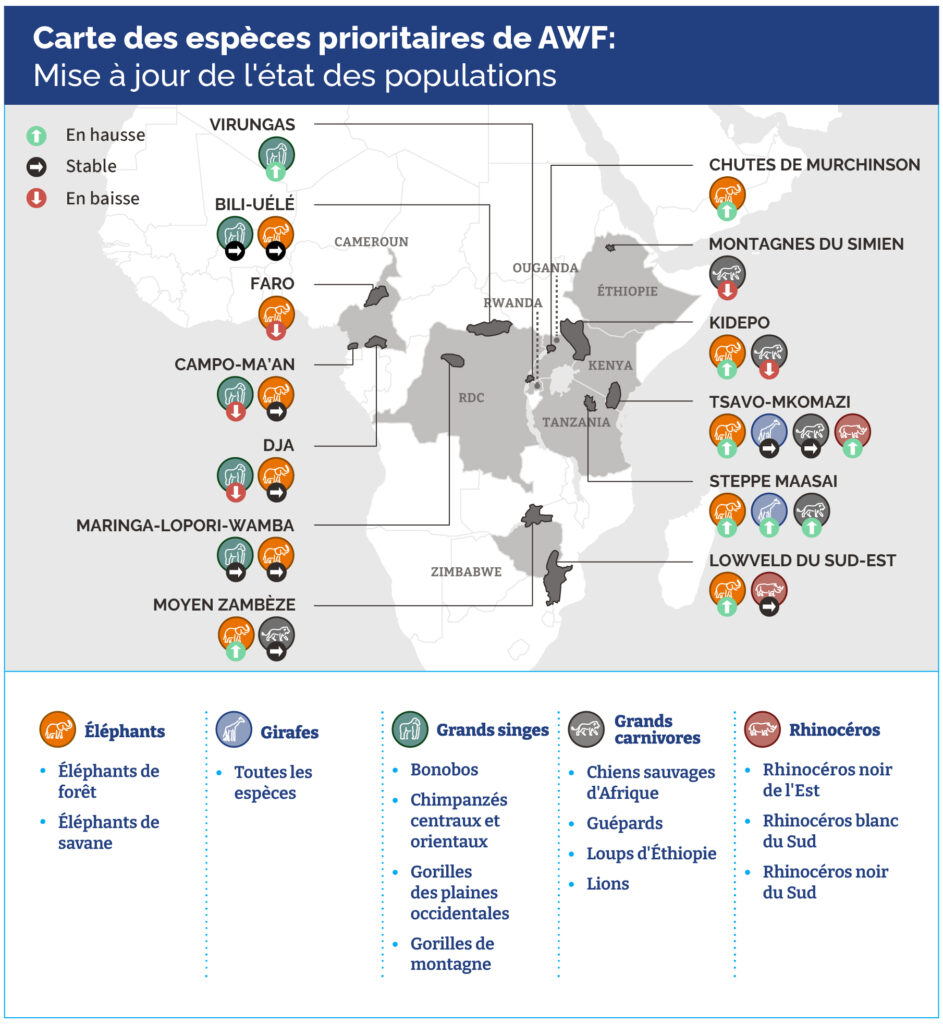 Carte des espèces prioritaires de AWF : Mise à jour de l'état des populations.